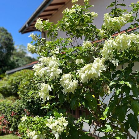 Willa Garden Haven Hikkaduwa Zewnętrze zdjęcie