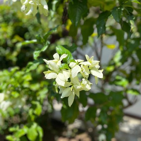 Willa Garden Haven Hikkaduwa Zewnętrze zdjęcie